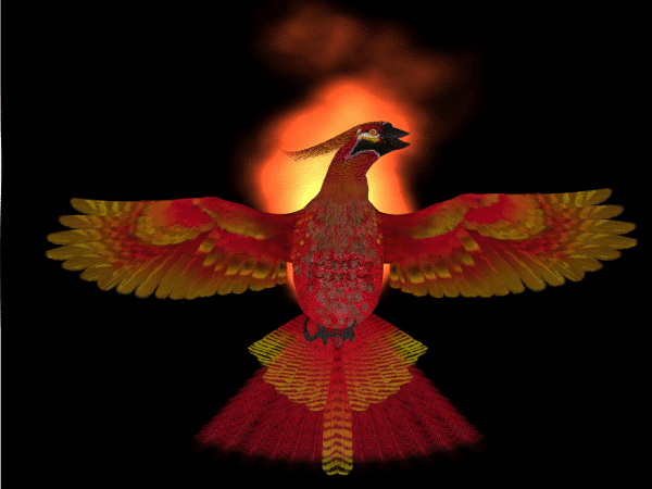 Phoenix-Coaching-Cover-Image